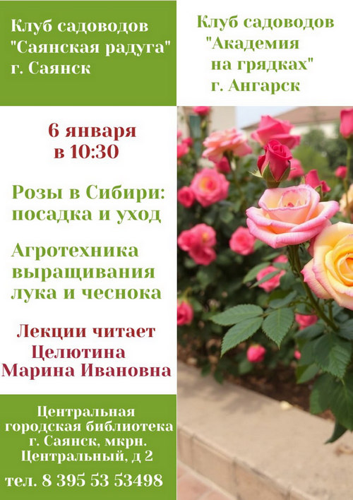 1.photo 2025 12 25 12 01 41 1cb9a