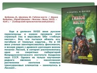 Сибирский приключенческий роман